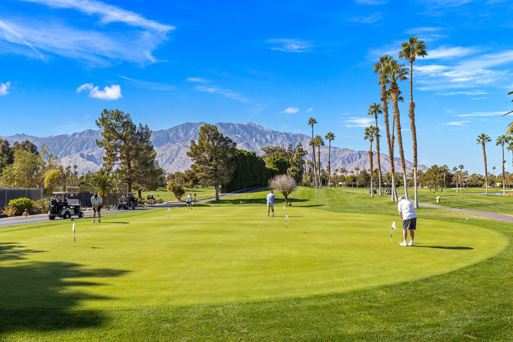 Golf course view with golfers p